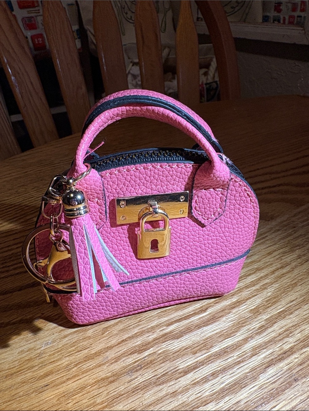 Hand Crafted Pink Mini Satchel with Gold Lock and Tassel Charm